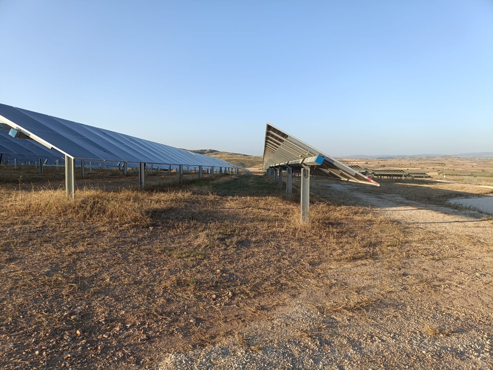 aawhatsapp image 2025 12 09 at 09.16.25.jpeg