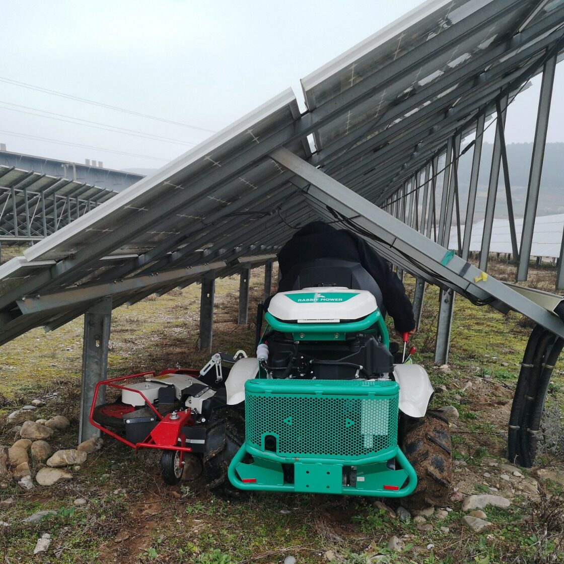 xwhatsapp image 2025 12 09 at 09.30.15 e1765792305598.jpeg